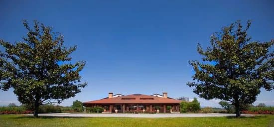 Museo del Vino - Vigneti Pittaro