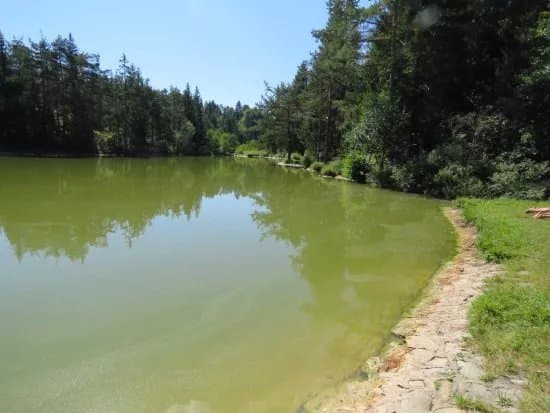 Rakitna Lake