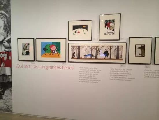 Museo ABC