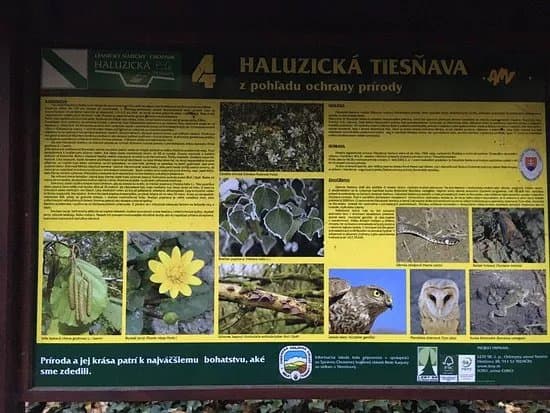 Haluzicka Tiesnava