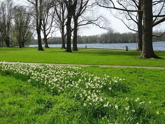 Sloterplas