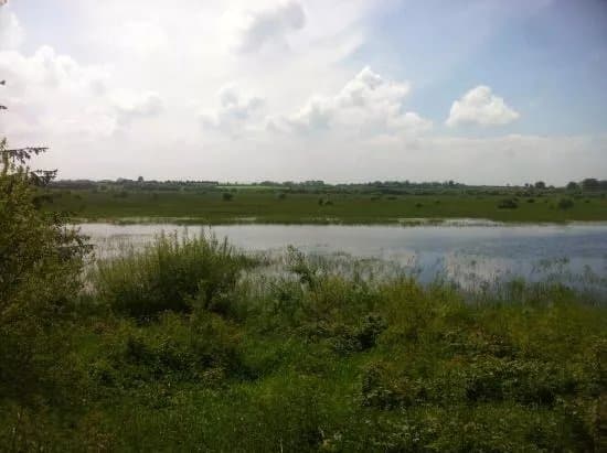 Kilcolman Wildfowl Refuge