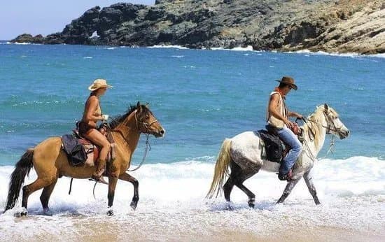 Mykonos Horseland