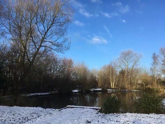 Boggart Hole Clough