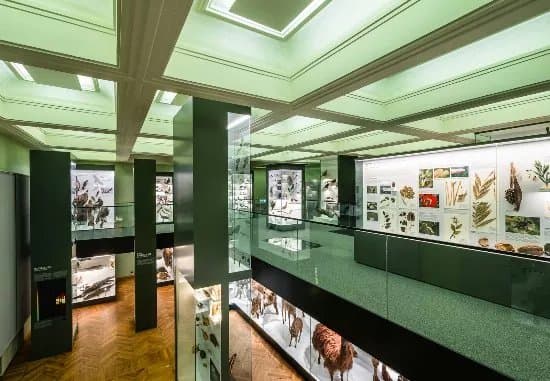 University of Tartu Natural History Museum
