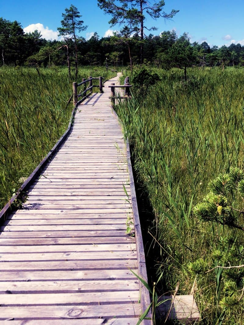 Slitere Nature Trail