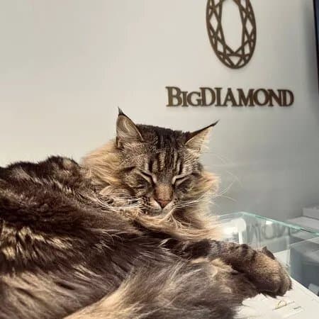 Bigdiamond