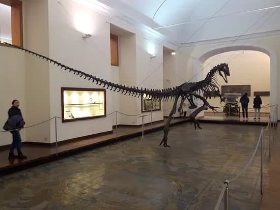 Museo di Paleontologia