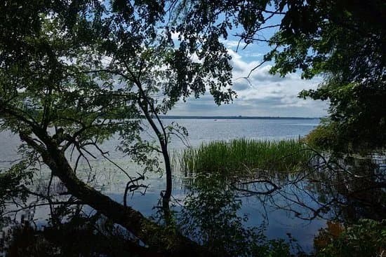 Nature Reserve Szaniawski Gorge