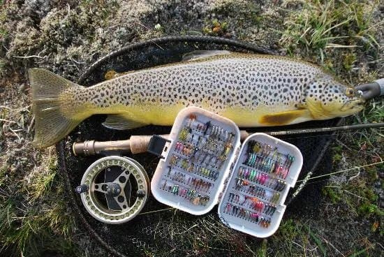 Go Fishing Iceland