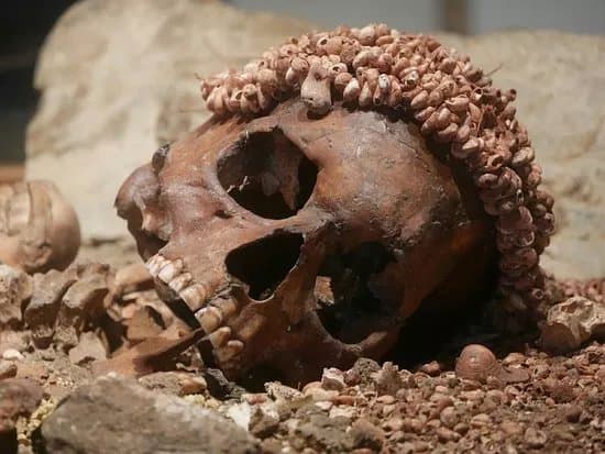 Museo di Archeologia