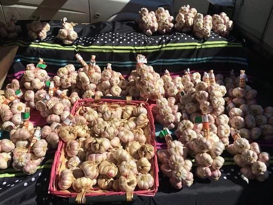 Olonzac Market