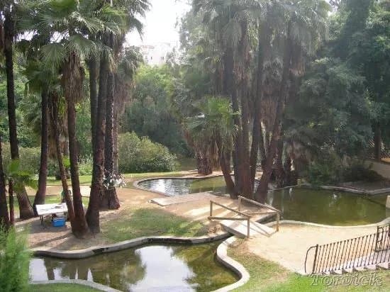 Parque San Francisco