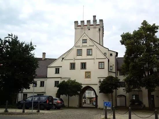 Einlasstor