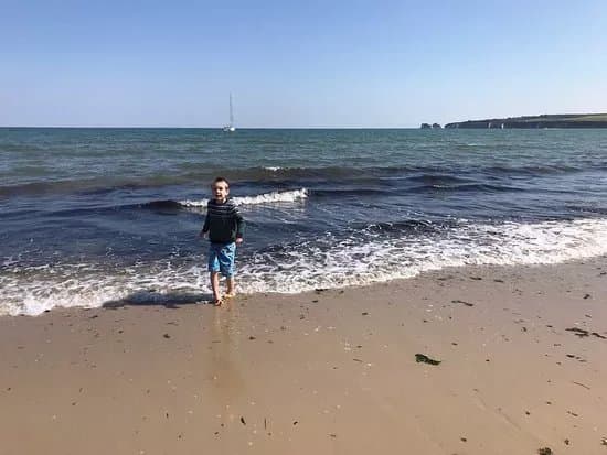 Shell Bay