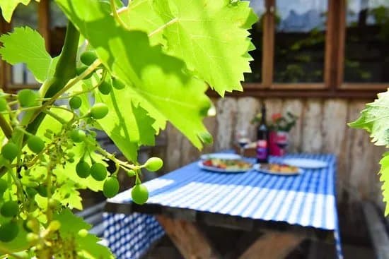 Tomcat's Winery