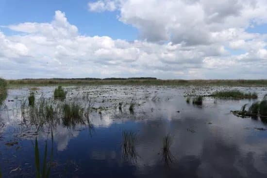 Kiskunsagi Nemzeti Park