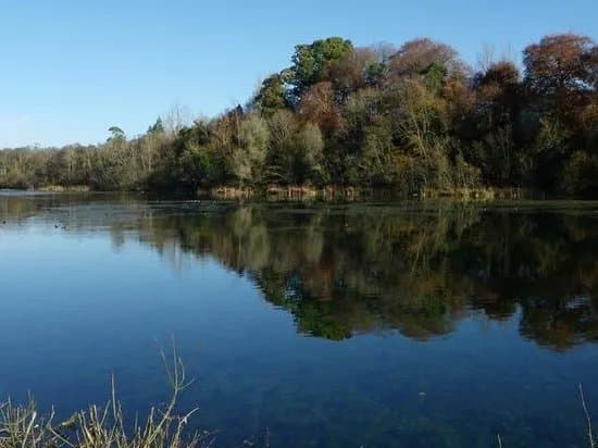 Marfield Lake