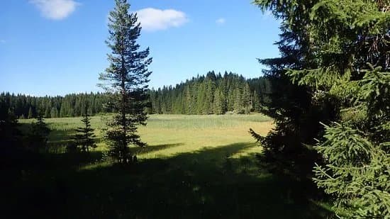 Barno Lake