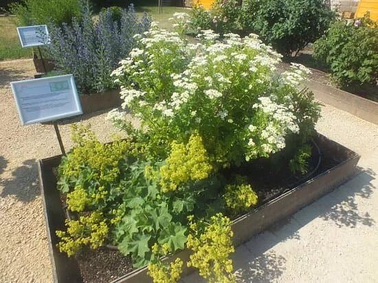 Franziskaner Klostergarten Breisach