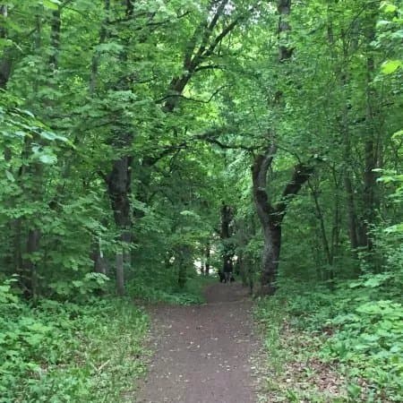 Rakvere Oak Grove Hiking Trail