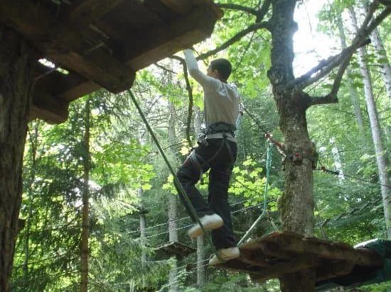 Jungle Laye