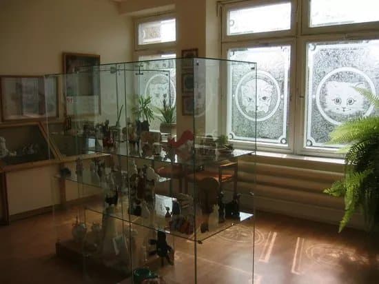 The Cat Museum