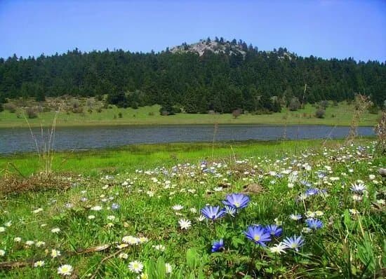 Limni Nevropolis