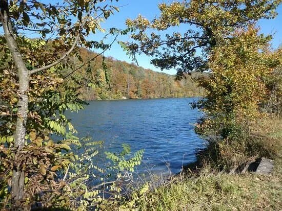 Auenschutzpark Aargau