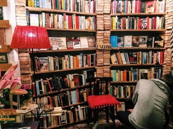 Desperate Literature