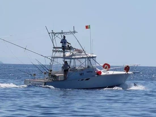 Madeira Marlin Charters