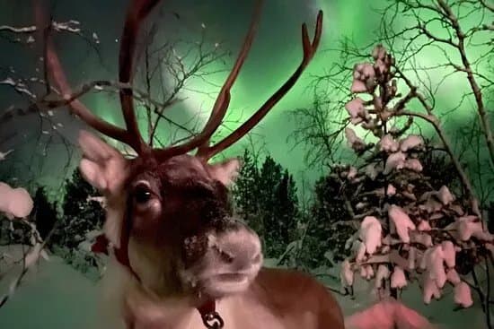 Go to Lapland AB