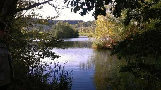 Biodiversum Reserve naturelle Haff Reimech
