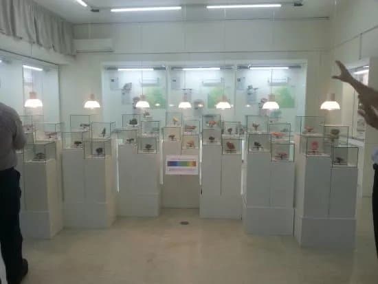 Museum of Mineralogy and Petrology