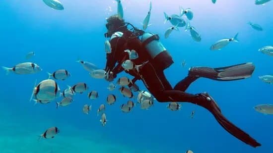 Mediterranean View Diving Center