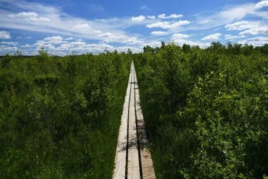 Store Mosse Nationalpark