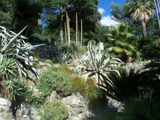 Parco Botanico Villa Rocca