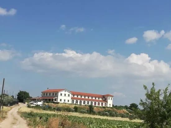 Wine Museum Tzivani