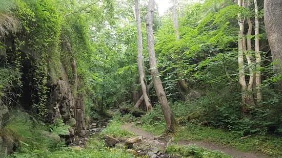 Svartingedalen