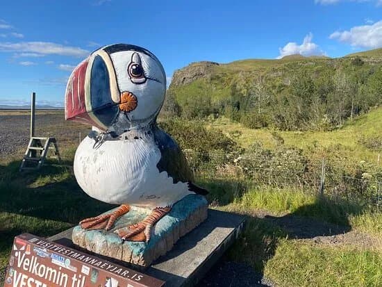 Big Puffin