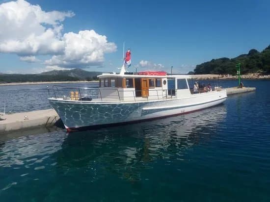 Delfina Excursions - Hvar