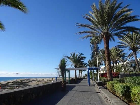 Paseo Costa Canaria