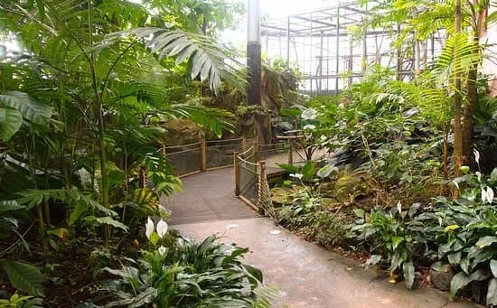 La Serre Amazonienne