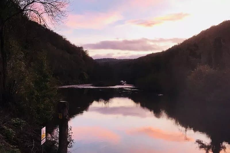 Picturesque Cottage In Symonds Yat - Dogs stay free + no charge for fire wood!