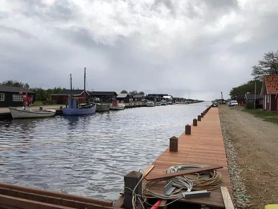 Stauning Havn