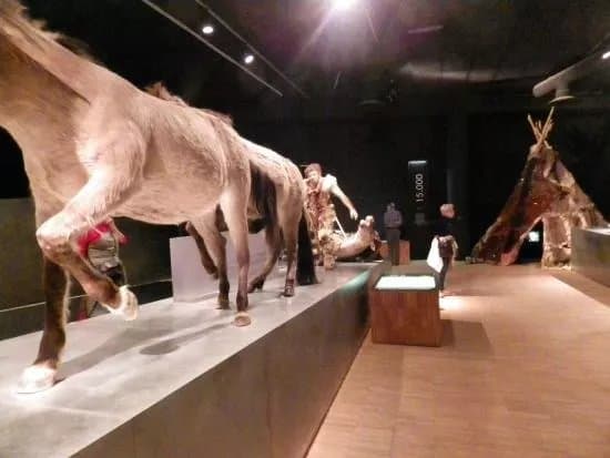 Gallo-Romeins Museum