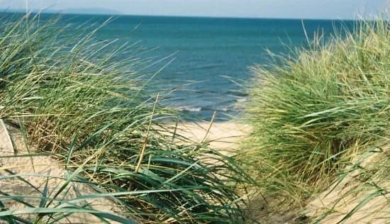 Naturistbad