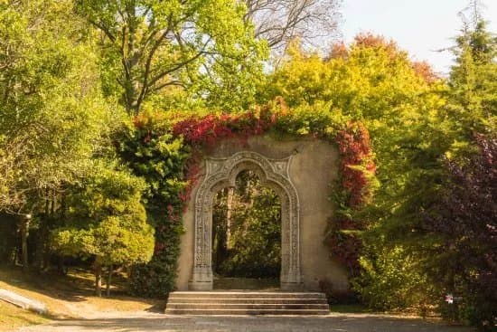 Quinta Da Conceicao