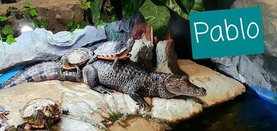 Aquarium Terrarium Sibenik