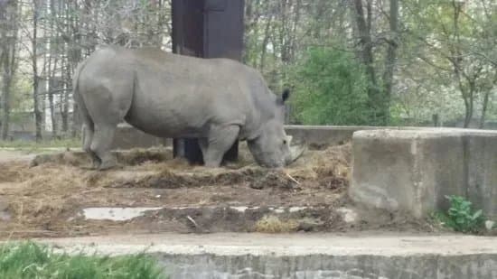 Zoo Sofia